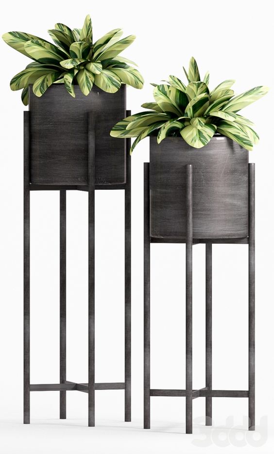 Flowers Plant Stands Modern