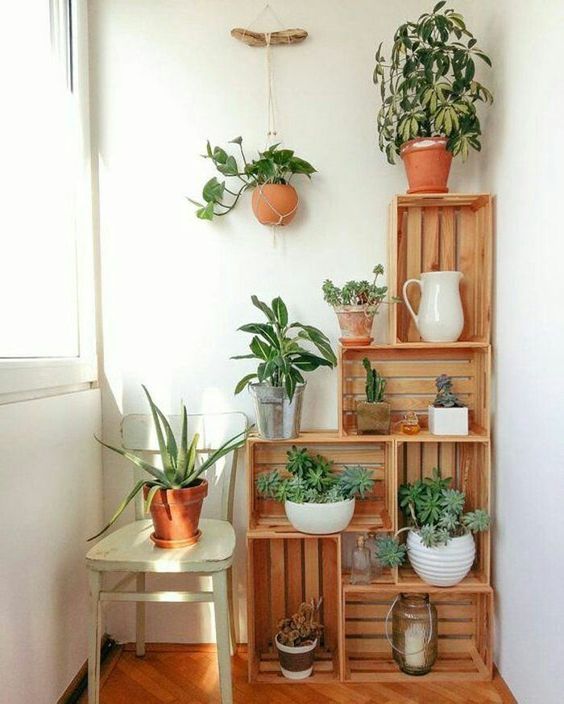 Indoor Corner Plant Stands