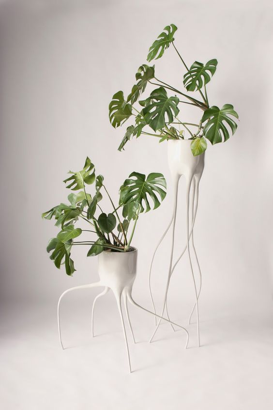 Modern Outdoor Plant Stands