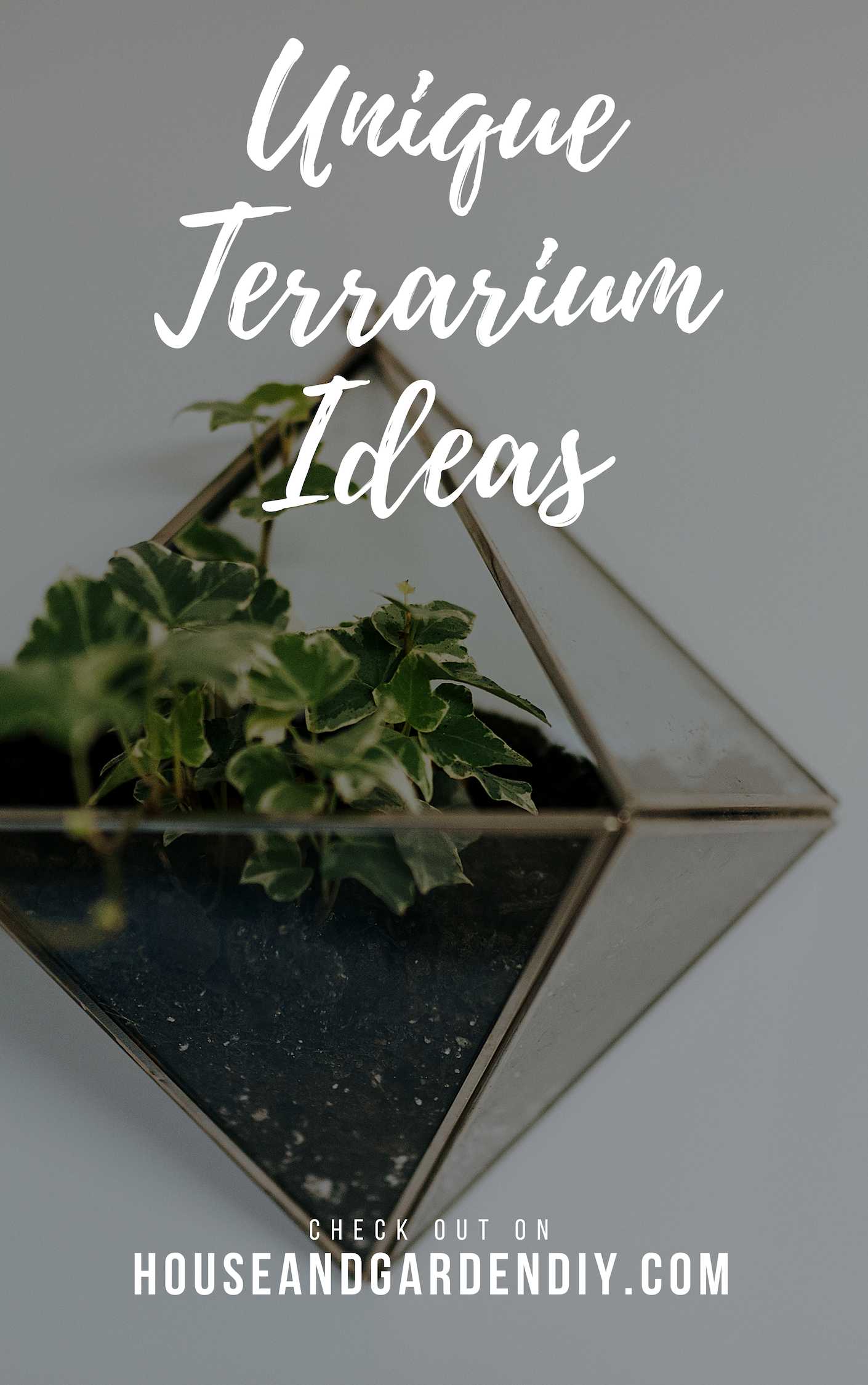 Unique Terrarium Picture Ideas 