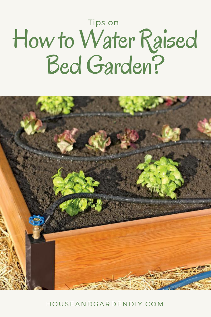 raised bed vegetable gardening for beginners