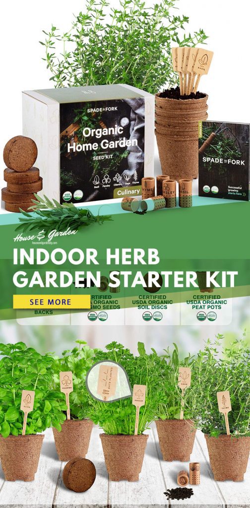 Unique Herb Planter Ideas – House & Garden DIY