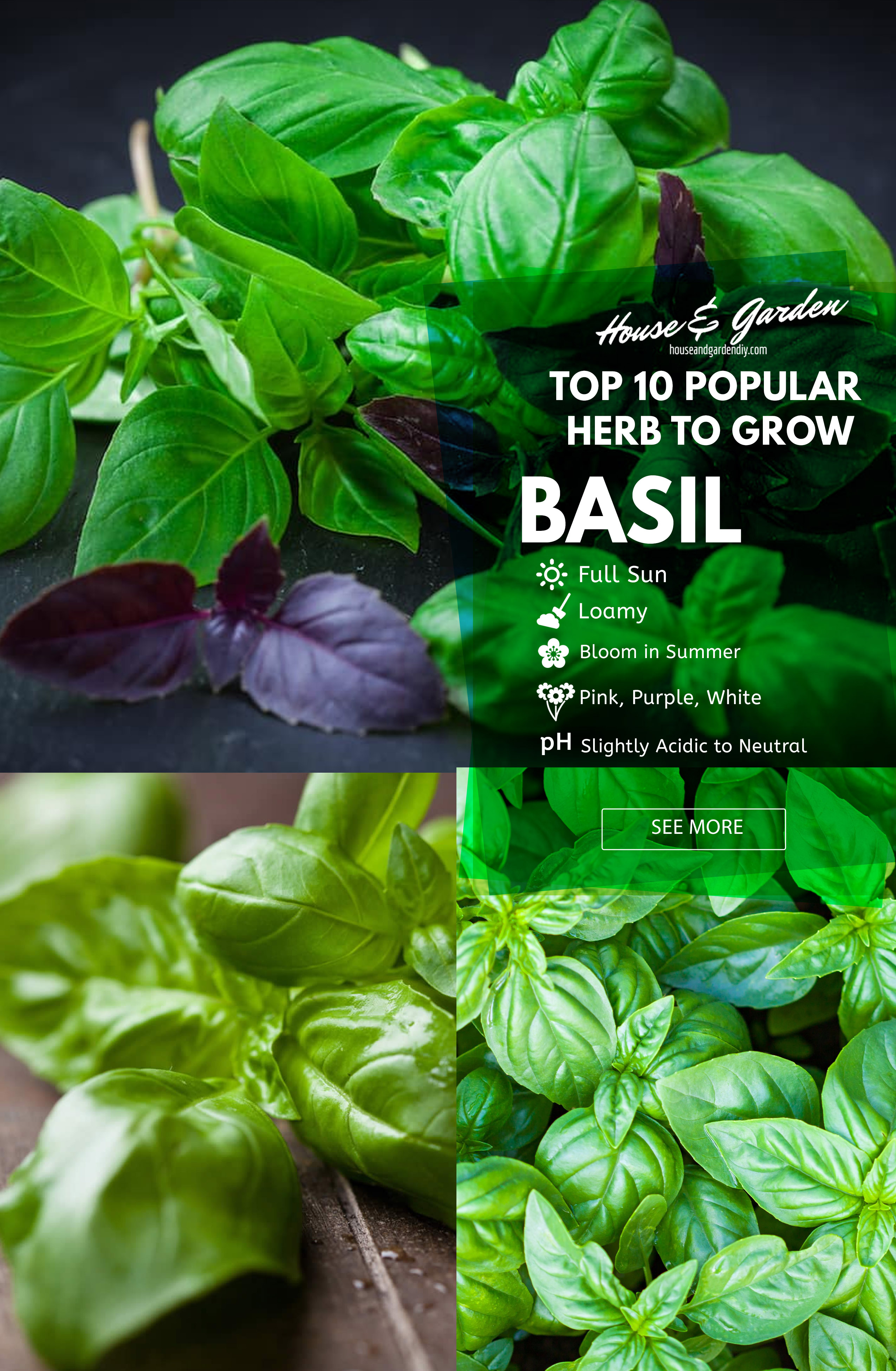 Basil balcony herb garden designs & containers
