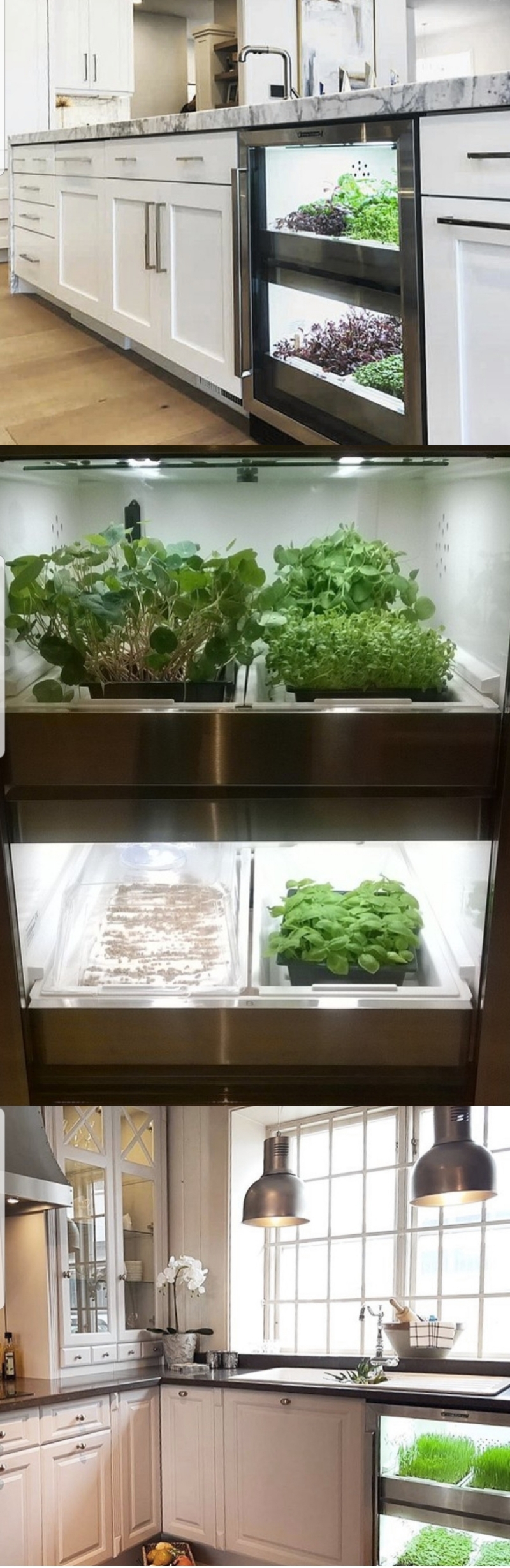 apartment herb garden kit