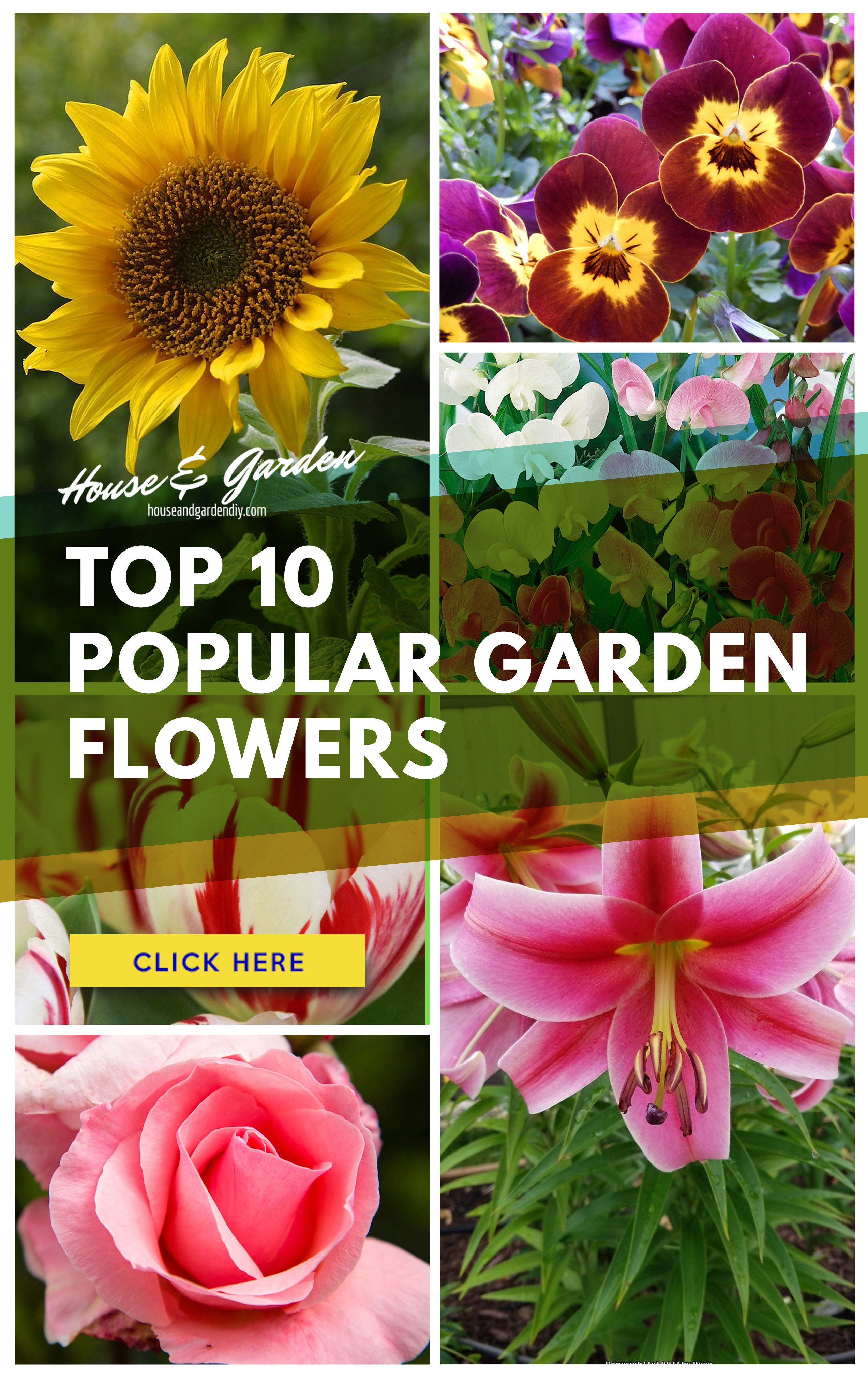 23+ Outstanding Flower Garden Ideas (How to Plan for Beginner & Popular Flower for Garden)