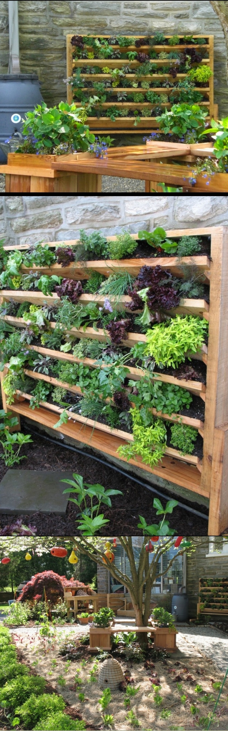 herb garden ideas for beginners