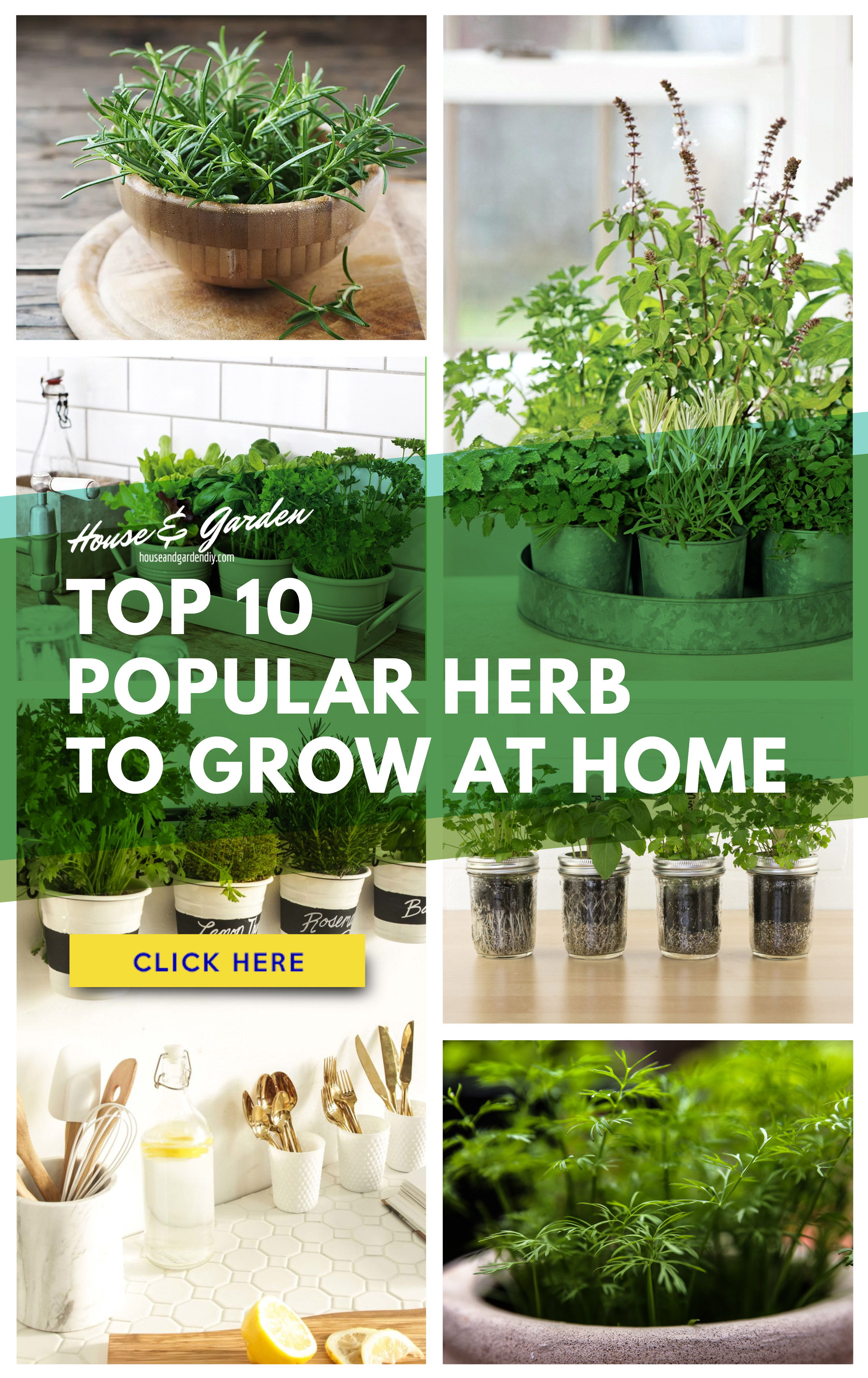 23+ Herb Garden Ideas (How to Grow & Easiest Herbs to Grow)