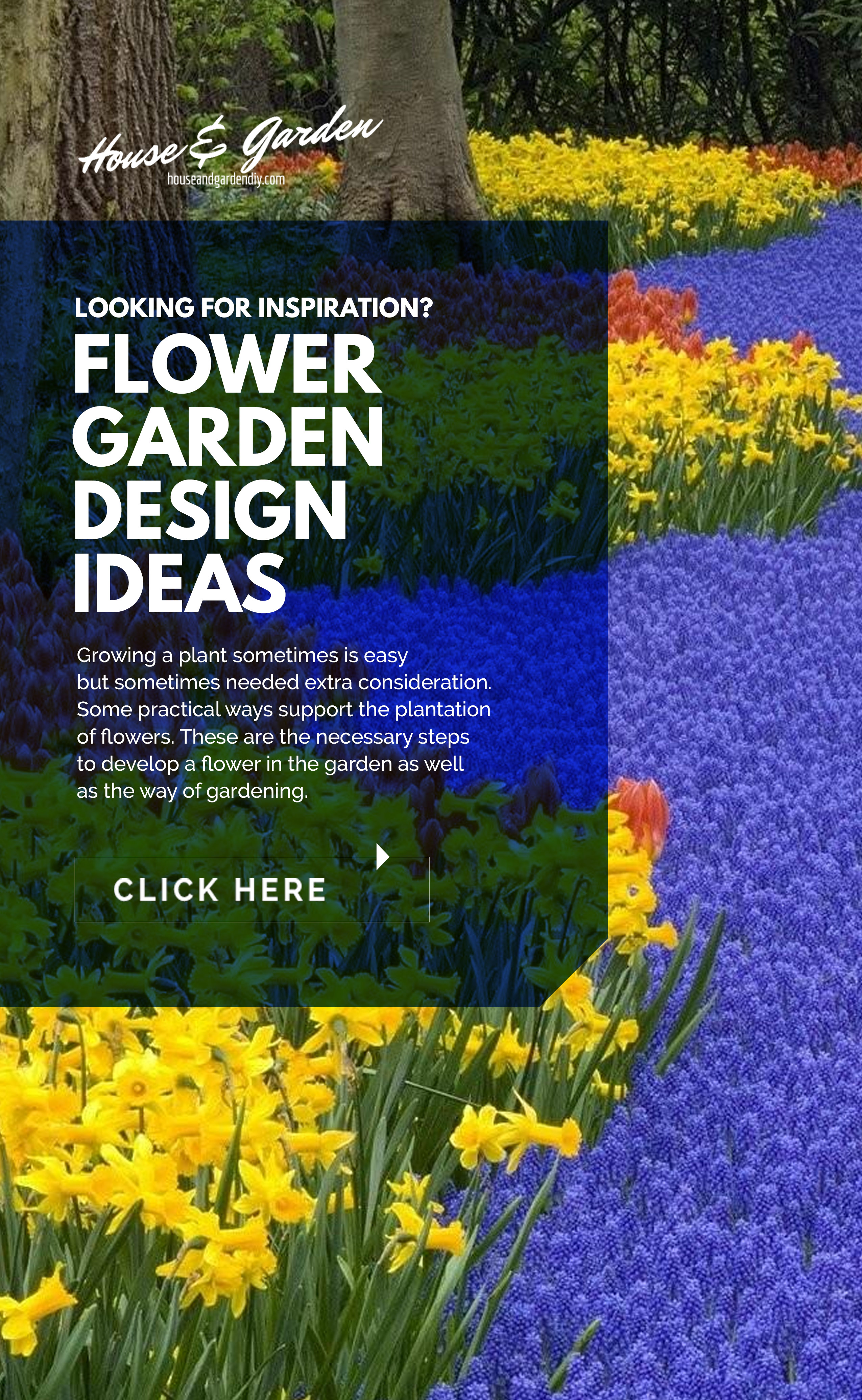 flower garden ideas beginners