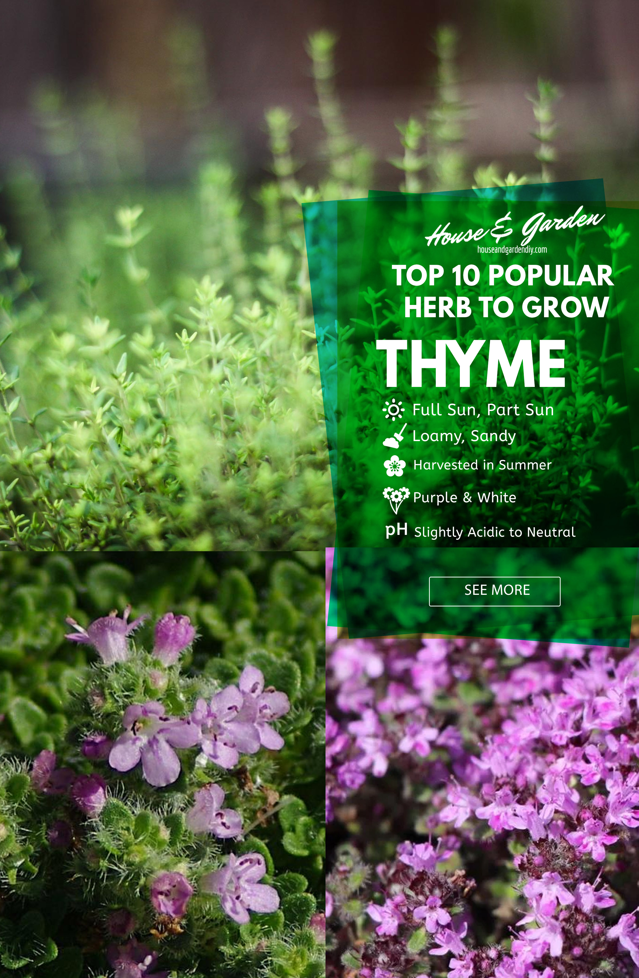 starting your herb gardens